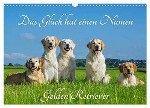 Das Glück hat einen Namen - Golden Retriever (Wandkalender 2024 DIN A3 quer), CALVENDO Monatskalender von CALVENDO