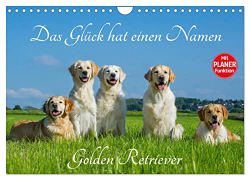 Das Glück hat einen Namen - Golden Retriever (Wandkalender 2024 DIN A4 quer), CALVENDO Monatskalender