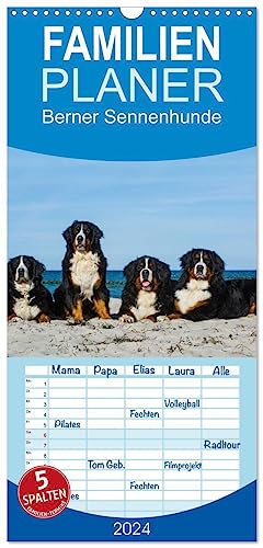 Familienplaner 2024 - Berner Sennenhund 2024 mit 5 Spalten (Wandkalender, 21 cm x 45 cm) CALVENDO