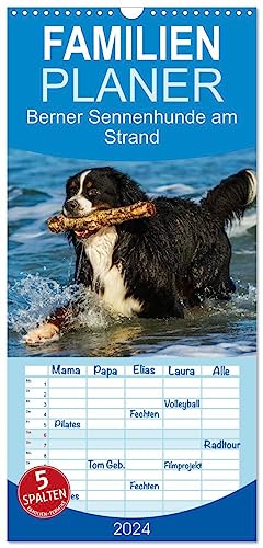 Familienplaner 2024 - Berner Sennenhunde am Strand mit 5 Spalten (Wandkalender, 21 cm x 45 cm) CALVENDO