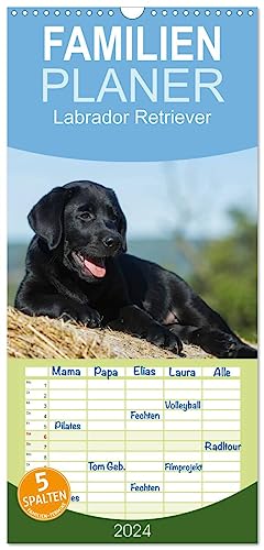 Familienplaner 2024 - Labrador Retriever 2024 mit 5 Spalten (Wandkalender, 21 cm x 45 cm) CALVENDO