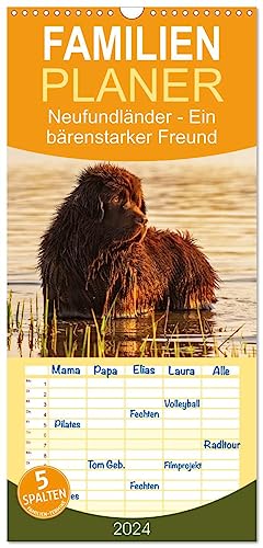 Familienplaner 2024 - Neufundländer - Ein bärenstarker Freund mit 5 Spalten (Wandkalender, 21 cm x 45 cm) CALVENDO