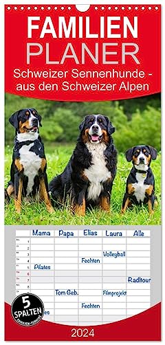 Familienplaner 2024 - Schweizer Sennenhunde - aus den Schweizer Alpen mit 5 Spalten (Wandkalender, 21 cm x 45 cm) CALVENDO