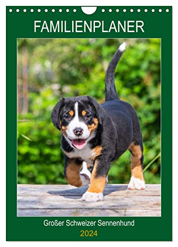 Familienplaner Großer Schweizer Sennenhund (Wandkalender 2024 DIN A4 hoch), CALVENDO Monatskalender von CALVENDO