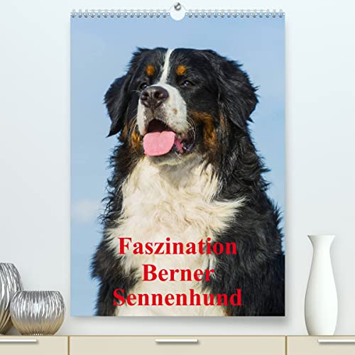 Faszination Berner Sennenhund (hochwertiger Premium Wandkalender 2024 DIN A2 hoch), Kunstdruck in Hochglanz