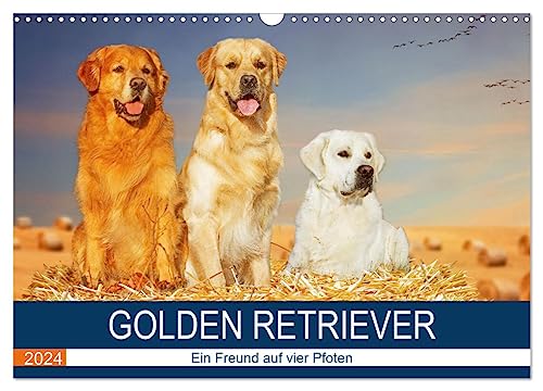 Golden Retriever - Ein Freund auf vier Pfoten (Wandkalender 2024 DIN A3 quer), CALVENDO Monatskalender von CALVENDO