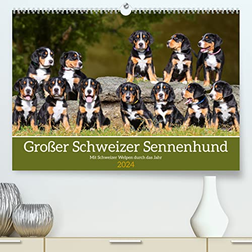 Großer Schweizer Sennenhund - Mit Schweizer Welpen durch das Jahr (hochwertiger Premium Wandkalender 2024 DIN A2 quer), Kunstdruck in Hochglanz