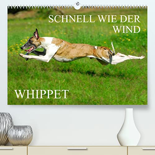 Schnell wie der Wind - Whippet (hochwertiger Premium Wandkalender 2024 DIN A2 quer), Kunstdruck in Hochglanz