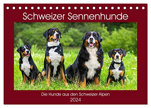Schweizer Sennenhunde - die Hunde aus den Schweizer Alpen (Tischkalender 2024 DIN A5 quer), CALVENDO Monatskalender von CALVENDO