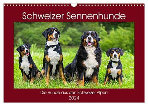 Schweizer Sennenhunde - die Hunde aus den Schweizer Alpen (Wandkalender 2024 DIN A3 quer), CALVENDO Monatskalender