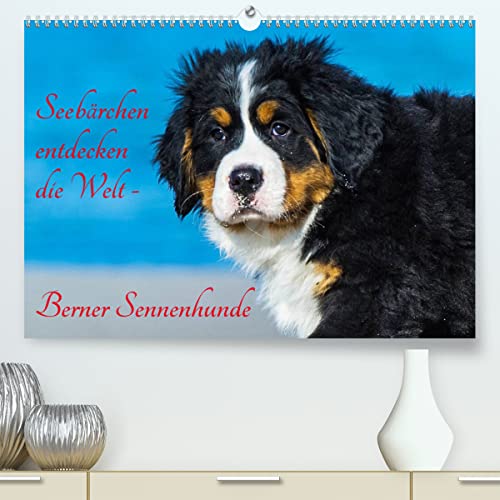 Seebärchen entdecken die Welt - Berner Sennenhunde (hochwertiger Premium Wandkalender 2024 DIN A2 quer), Kunstdruck in Hochglanz