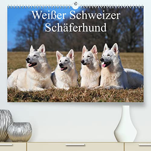 Weißer Schweizer Schäferhund (hochwertiger Premium Wandkalender 2024 DIN A2 quer), Kunstdruck in Hochglanz