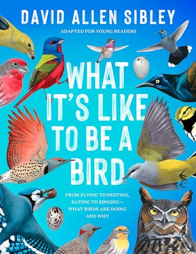 What It's Like to Be a Bird (Adapted for Young Readers): From Flying to Nesting, Eating to Singing--What Birds Are Doing and Why von Delacorte Press