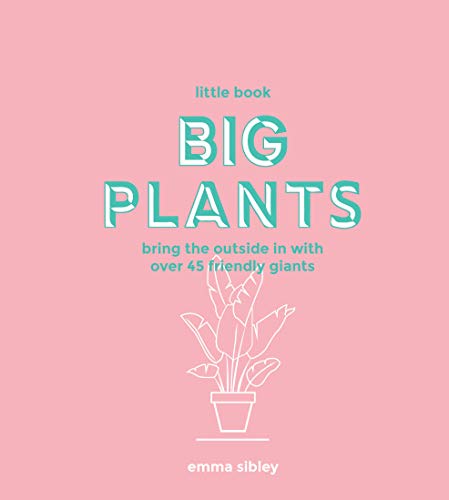 Little Book, Big Plants: Bring the Outside in with Over 45 Friendly Giants von Quadrille Publishing