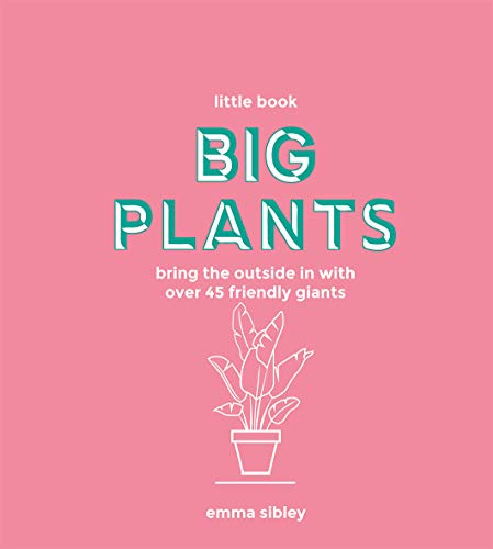 Little Book, Big Plants: Bring the Outside in with Over 45 Friendly Giants von Quadrille Publishing