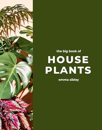 The Big Book of House Plants The Big Book of House Plants von Quadrille
