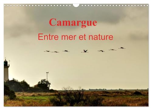 Camargue Entre mer et nature (Calendrier mural 2025 DIN A3 vertical), CALVENDO calendrier mensuel: Au c¿ur de la Camargue, entre mer et marais salants. von Calvendo
