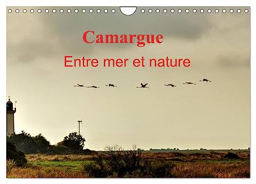 Camargue Entre mer et nature (Calendrier mural 2025 DIN A4 vertical), CALVENDO calendrier mensuel: Au c¿ur de la Camargue, entre mer et marais salants. von Calvendo