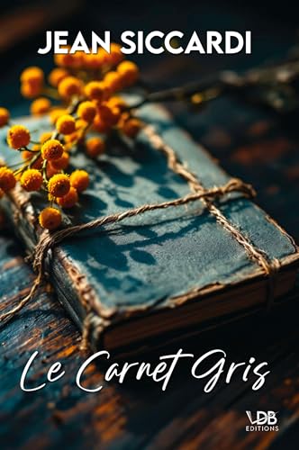 LE CARNET GRIS von EDITIONS VDB
