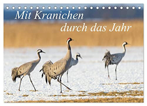 Mit Kranichen durch das Jahr (Tischkalender 2025 DIN A5 quer), CALVENDO Monatskalender