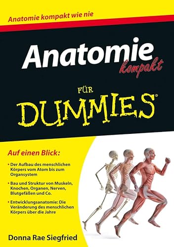 Anatomie kompakt für Dummies