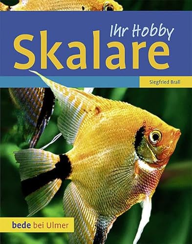 Skalare