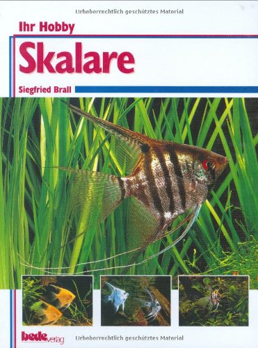 Skalare, Ihr Hobby