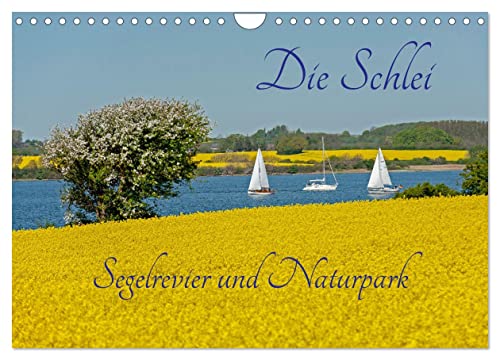 Die Schlei - Segelrevier und Naturpark (Wandkalender 2024 DIN A4 quer), CALVENDO Monatskalender von CALVENDO