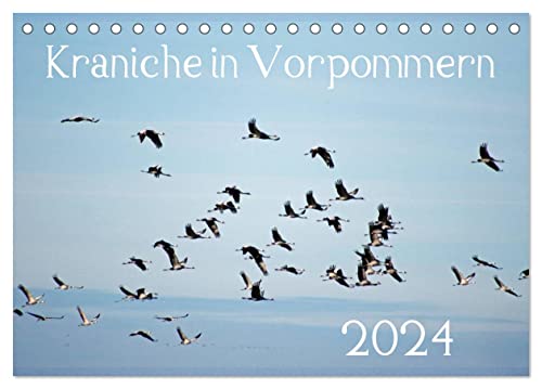 Kraniche in Vorpommern (Tischkalender 2024 DIN A5 quer), CALVENDO Monatskalender