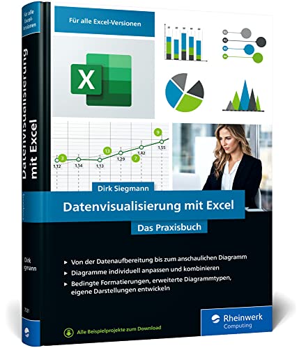 Datenvisualisierung mit Excel: Das Praxisbuch für ansprechende Diagramme und Grafiken von Rheinwerk Computing