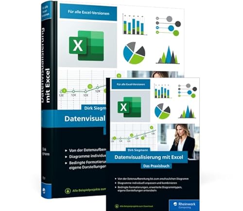 Datenvisualisierung mit Excel: Das Praxisbuch von Rheinwerk