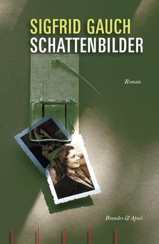 Schattenbilder: Roman (literarisches programm) von Brandes + Apsel Verlag Gm