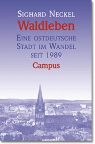 Waldleben: Eine ostdeutsche Stadt im Wandel seit 1989 von Campus Verlag