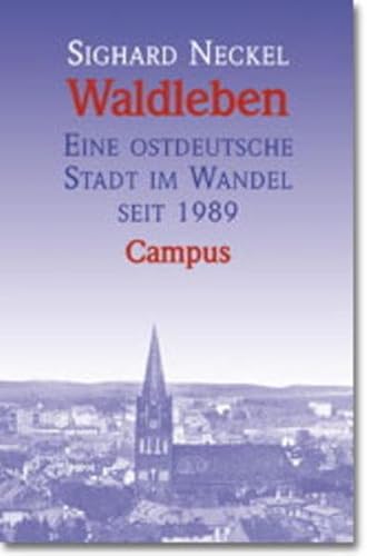 Waldleben: Eine ostdeutsche Stadt im Wandel seit 1989 von Campus Verlag