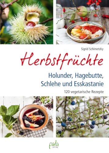 Herbstfrüchte: Holunder, Hagebutte, Schlehe und Esskastanie