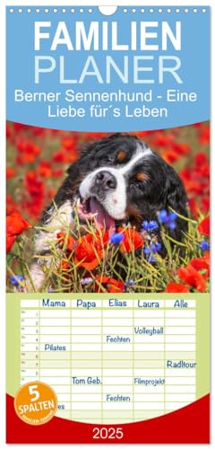 Familienplaner 2025 - Berner Sennenhund - Eine Liebe für´s Leben mit 5 Spalten (Wandkalender, 21 cm x 45 cm), CALVENDO