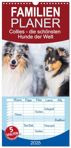Familienplaner 2025 - Collies - die schönsten Hunde der Welt mit 5 Spalten (Wandkalender, 21 cm x 45 cm), CALVENDO