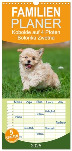 Familienplaner 2025 - Kobolde auf 4 Pfoten - Bolonka Zwetna mit 5 Spalten (Wandkalender, 21 cm x 45 cm), CALVENDO von CALVENDO