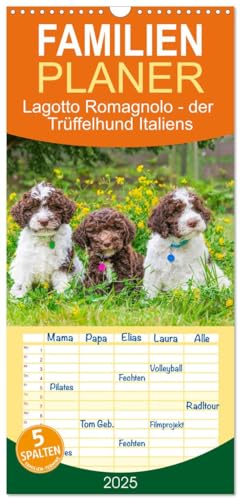Familienplaner 2025 - Lagotto Romagnolo - der Trüffelhund Italiens mit 5 Spalten (Wandkalender, 21 cm x 45 cm), CALVENDO