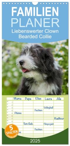 Familienplaner 2025 - Liebenswerter Clown Bearded Collie mit 5 Spalten (Wandkalender, 21 cm x 45 cm), CALVENDO