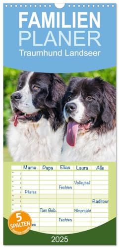 Familienplaner 2025 - Traumhund Landseer mit 5 Spalten (Wandkalender, 21 cm x 45 cm), CALVENDO von CALVENDO