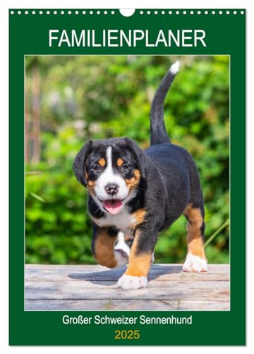 Familienplaner Großer Schweizer Sennenhund (Wandkalender 2025 DIN A3 hoch), CALVENDO Monatskalender von CALVENDO