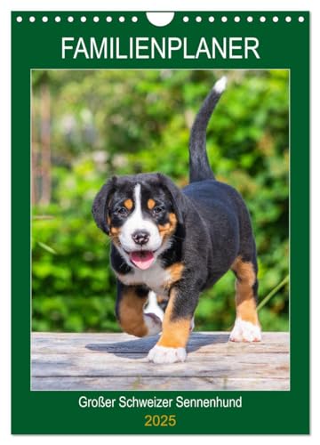 Familienplaner Großer Schweizer Sennenhund (Wandkalender 2025 DIN A4 hoch), CALVENDO Monatskalender