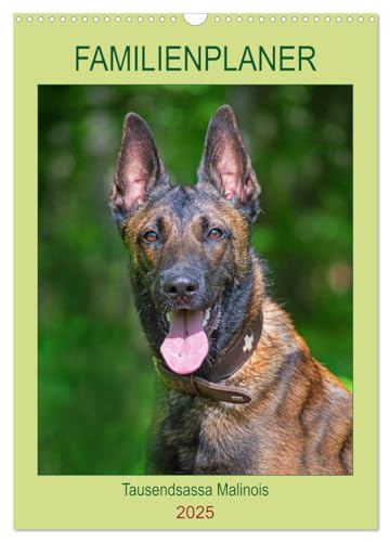 Familienplaner Tausendsassa Malinois (Wandkalender 2025 DIN A3 hoch), CALVENDO Monatskalender