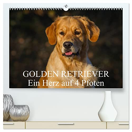 Golden Retriever - Ein Herz auf 4 Pfoten (hochwertiger Premium Wandkalender 2025 DIN A2 quer), Kunstdruck in Hochglanz von CALVENDO