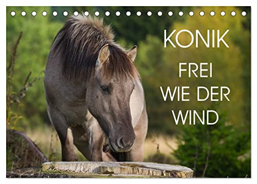 Konik - Frei geboren (Tischkalender 2025 DIN A5 quer), CALVENDO Monatskalender von CALVENDO