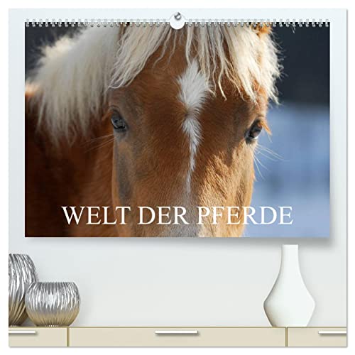 Welt der Pferde (hochwertiger Premium Wandkalender 2025 DIN A2 quer), Kunstdruck in Hochglanz von CALVENDO