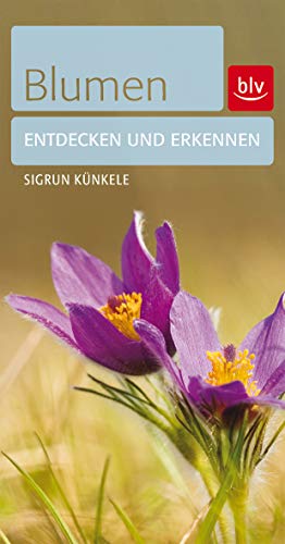 Blumen: Entdecken und erkennen (BLV) von BLV, ein Imprint von GRÄFE UND UNZER Verlag GmbH