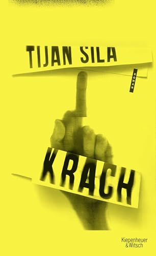 Krach: Roman