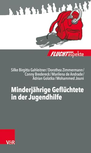 Minderjährige Geflüchtete in der Jugendhilfe (Fluchtaspekte: Geflüchtete Menschen psychosozial unterstützen und begleiten)